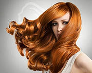 Wella service line
