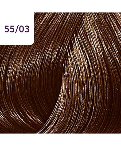 Color touch plus 55/03