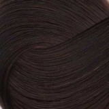 Игора роял абсолют 6-60
