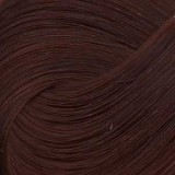 Игора роял абсолют 6-70