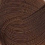 Игора роял абсолют 9-60